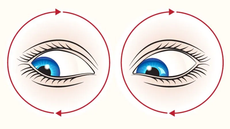 Bài tập luyện mắt nhìn theo hình tròn giúp đôi mắt trở nên linh hoạt hơn