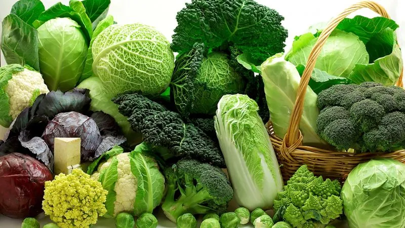 Vitamin B có nhiều trong các loại rau lá xanh đậm